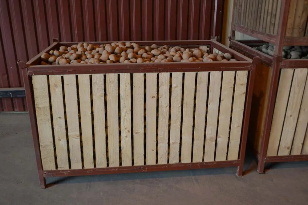 контейнер для хранения корнеклубнеплодов в Великом Новгороде
